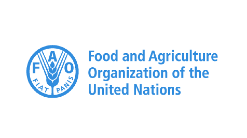 News – Food and Agriculture Organization of the United Nations