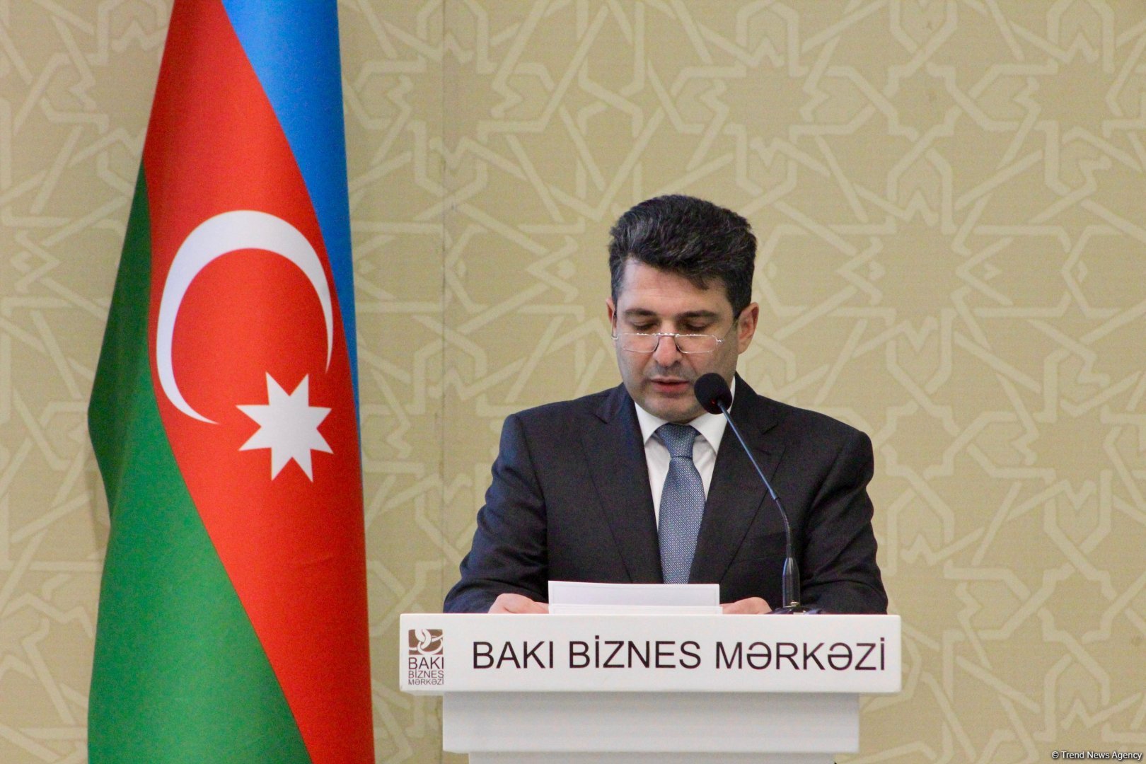 Azerbaijan invites Slovak companies to develop business in Karabakh, Eastern Zangezur – Trend News Agency