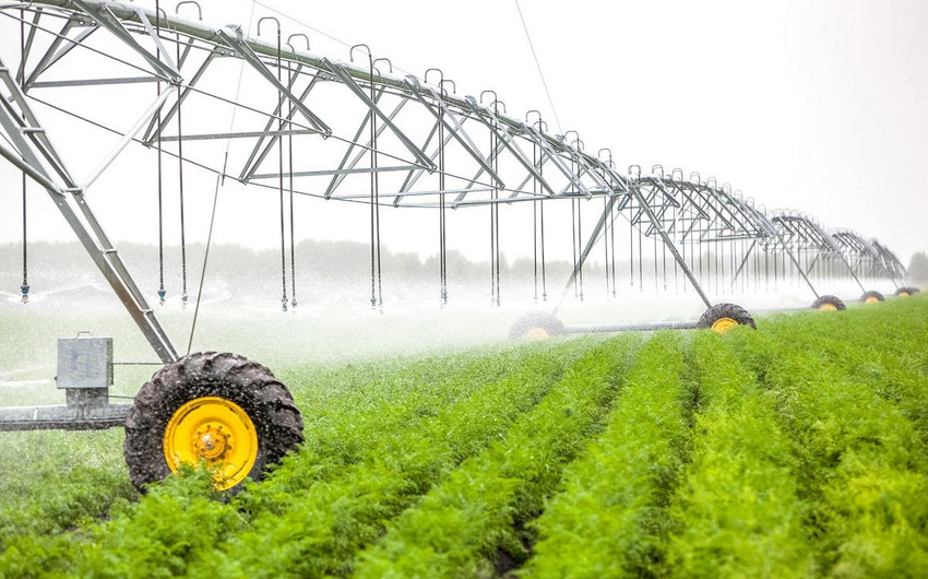 World Bank says efficiency of irrigation systems is low in Azerbaijan – azərbaycan24